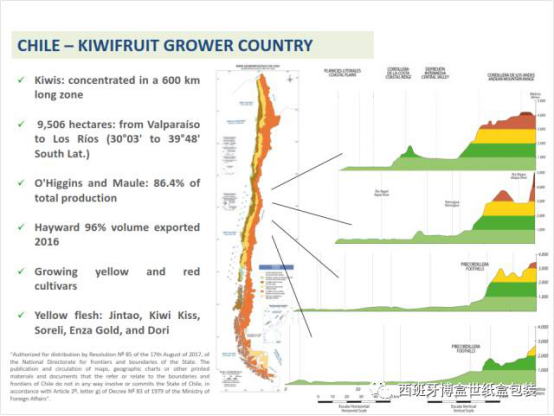 與本真同行，探尋智利獼猴桃產(chǎn)業(yè)發(fā)展現狀632.png
