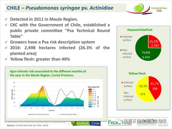 與本真同行，探尋智利獼猴桃產(chǎn)業(yè)發(fā)展現狀1694.png
